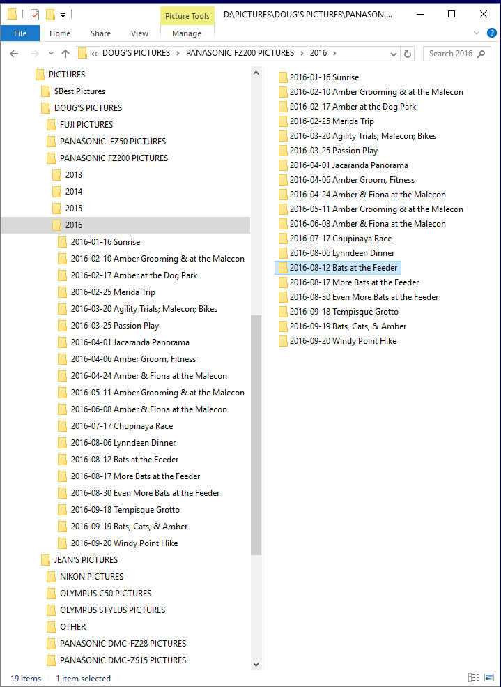Directory Tree.png